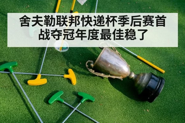 舍夫勒联邦快递杯季后赛首战夺冠年度最佳稳了